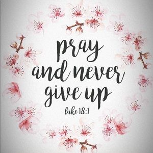 Meet your Posher, Sadie